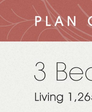 Plan C2a